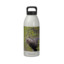 Grizzly Bear Reusable Water Bottles