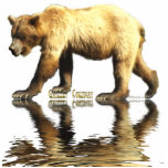 GRIZZLY BEAR (sculpted) Wildlife Magnet Photo Sculptures