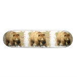 grizzly, grizzly bear, bears, bear, grizzlies, mammal, animal, wild life, wild animal, brown bear, grizzly bears, zoo, animals, kodiak bear