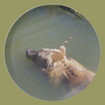 Grizzly Bear Swimming plates