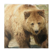 Grizzly Bear Tile