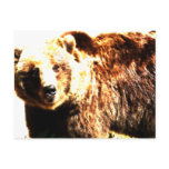 Grizzly Bear Watercolor Post Card