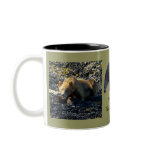 Grizzly Bear Wildlife Art Mug
