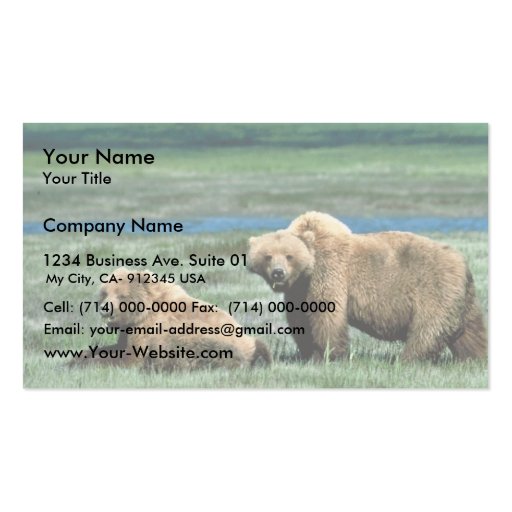 Grizzly Bears Business Cards (front side)