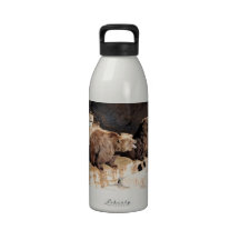Grizzly Bears Drinking Bottle