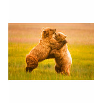 Grizzly Bears Wrestling t-shirts