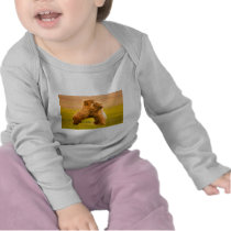 Grizzly Bears Wrestling t-shirts