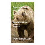 Grizzly Business Cards
