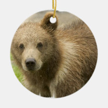 Grizzly Cub Ornament