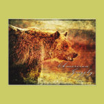 Grizzly Etch-2 postcards