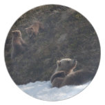 Grizzly Family Scene Party Plate