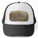 ##imgtitle## Grizzly Hat