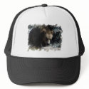 grizzly hats by basketcase413 grizzly hats