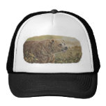 Grizzly Hat
