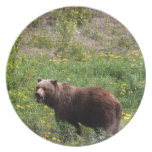 Grizzly in the Dandelions Party Plates