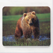 GRIZZLY IN WATER MOUSEPAD mousepads