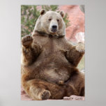 Grizzly Poster