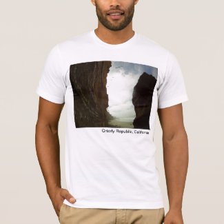Grizzly Republic Pacific Beach T Shirt