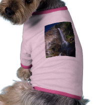 Grizzly Waterfalls pet clothing by lifesphere Grizzly Waterfalls pet clothing
