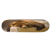 Grizzly Workout Skateboard