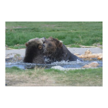 Grizzly's Fighting posters by gjdm01 Grizzly's Fighting posters
