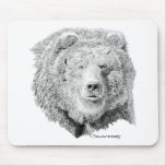 grizzly, bear, kodiak, brown