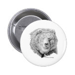 grizzly, bear, kodiak, brown