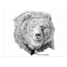 Grizzy Bear Post Card
