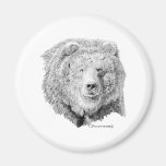 Grizzy Bear Refrigerator Magnets