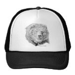 grizzly, bear, kodiak, brown