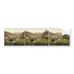 Grodenthal, with Sella, and Langkoflgruppe, Tyrol, Bumper Stickers