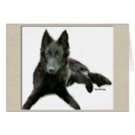 Groenendael Belgian Sheepdog Gifts Greeting Cards
