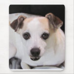 GROMMET MOUSE PAD