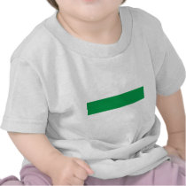 Groningen City, Netherlands flag Tee Shirts