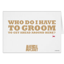 Groom Card