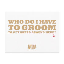 Groom Postcard by Meerkats Groom Postcard