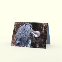 Grooming Heron cards