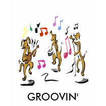 GROOVIN ANIMAL BAND T t-shirts