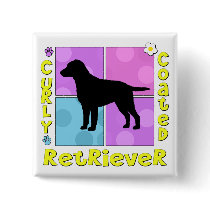Groovy Curly Coated Retriever Pinback Button