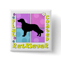 Groovy Flat Coated Retriever Pinback Buttons