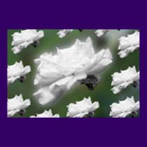 Groovy Flower posters