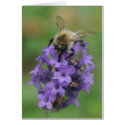 Groovy Life cards by heysje Groovy Life cards