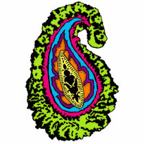 Groovy Paisley Magnet photo sculptures