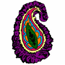 Groovy Paisley Magnet photo sculptures
