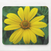Groovy Petals Mousepad