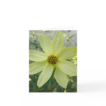 Groovy Petals Pale Yellow Flower Note Card Groovy Petals Pale Yellow Flower Note Card