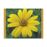 Groovy Petals Postcard Groovy Petals Postcard