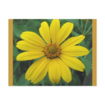 Groovy Petals Postcard postcards