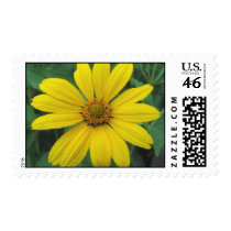 Groovy Petals Stamp by mulberry1 Groovy Petals Stamp