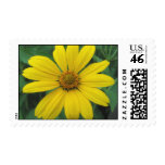 Groovy Petals Stamp